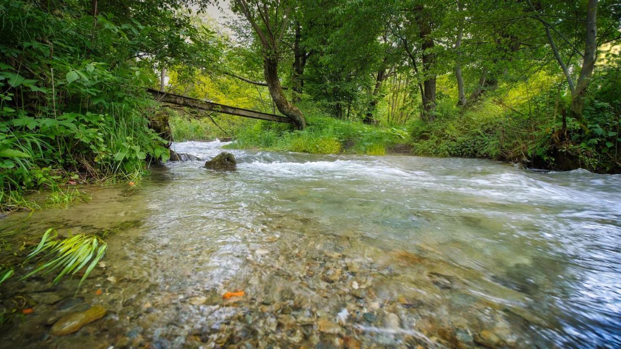 River Residence Chalet Felsőszombatfalvi üdülőtelep Kültér fotó